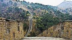 亡くなった夫の夢を叶えるため、残された妻が世界中を飛び回る : らばQ