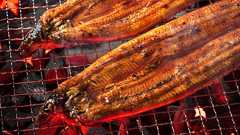 ウナギ業界の「異常」にイオン、岡山のベンチャーが立ち向かう理由