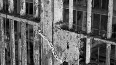 出演女性が「若く見えたため…」児童ポルノ所持で男性逮捕、海外から駆けつけたポルノ女優が証明し禁固20年から救う : らばQ