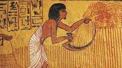 「国家」が数千年前に出現した真の理由が新たな研究で見えてきた | 長年の定説とは異なる