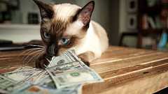 加速する脱ドル化、次の基軸通貨は本当に人民元なのか?習近平の野望を砕く新勢力の存在=高島康司 | マネーボイス