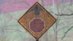 ジャック・ダニエルの蒸留所から漏れ出すカビが地元を汚染し住民は何百万円もの費用をかけて清掃を余儀なくされている