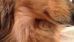 『今年読んでよかった本ベスト10(2011年)』