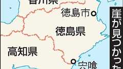 謎の大津波、海底地滑り原因か 500年前、徳島で被害:朝日新聞デジタル