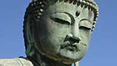 息子が交通事故に遭って、親に伝えたい唯一のこと | 編集者Asanaoのブログ(旧)