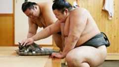 大相撲・荒汐部屋 ☓ モル