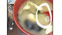 【すき家】味噌汁にネズミ混入 ネットでは「ネズミ入りの味噌汁の写真にスプーンが使われていておかしい」と自演を疑う声が浮上 : ツイッター速報