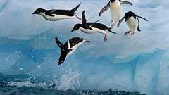 「Linux」ディストリビューションを乗り換える前に確認すべき5つのポイント