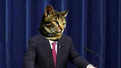 政府、会見にネコフィルター採用 7月から