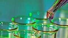 泥のEM団子は環境を汚染するゴミ? 海や川の水質浄化、生態系復元のウソ