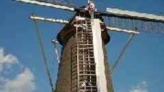 真剣に仕事に取り組む、ということ。 | NED-WLT