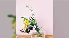 「保育園からの帰り道に、息子と一緒にお花摘み」楽しい思い出の写真が炎上?道端の花を勝手に摘むのはNGなのか