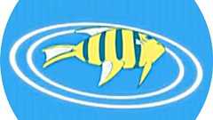 ぬるぽへ on Twitter: "コインハイブ事件、というかサイバー犯罪が警察内部でどう扱われるかという話について知人の警察関係者からめちゃくちゃ勉強になる話を聞けました。 まず、サイバー犯罪は今のところ県警内だけで発見から検挙までする必要があり、しかも検挙数のプレッシャーも通常通り普通にある。しかし、(続"