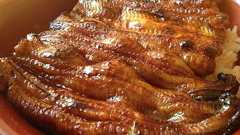 【アゴラ】アゴラ編集部:採算ベースが見えてきたウナギの完全養殖【アゴラ言論プラットフォーム】