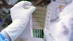 人間の髪の毛よりも薄く軽量であらゆる表面に接着できる太陽電池が開発される