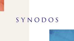 普遍的価値の擁護者としての「極右」―― リベラリズムのアイロニー/吉田徹 - SYNODOS