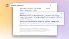 DuckDuckGo Launches DuckAssist