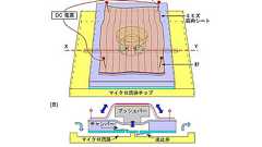 ミミズの筋肉使ったポンプ開発 エネルギー源はATP 電力不要の超小型ポンプ実現へ