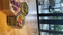 農業会社の女性メンバーで発足のブランド「スターチス女子」、切り花を使ったアクセサリーを有楽町micro FOOD & IDEA MARKETで期間限定販売しました