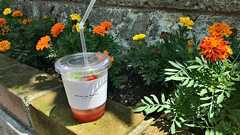 赤羽でカフェ巡り12選!レトロな純喫茶やおしゃれカフェをご紹介!