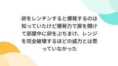 卵をレンチンすると爆発するのは知っていたけど爆発力で扉を開けて部屋中に卵をぶちまけ、レンジを完全破壊するほどの威力とは思っていなかった