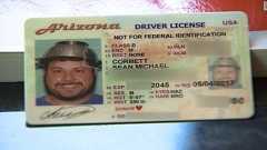 「パスタの水切り器」かぶった写真、運転免許証用に承認 米:CNN