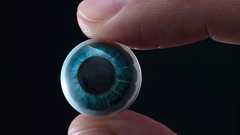 ARコンタクトレンズをMojo Visionが発表 現実世界をキャプションで説明