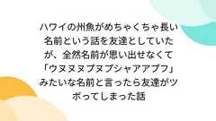 ハワイの州魚がめちゃくちゃ長い名前という話を友達としていたが、全然名前が思い出せなくて「ウヌヌヌプヌプシャアアプフ」みたいな名前と言ったら友達がツボってしまった話