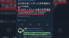 5万人がノネコ駆除に反対しておいて引き取りの申し出は0件 ※追記あり