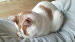 【閲覧注意】絶対に検索してはいけない言葉2012冬 : 哲学ニュースnwk