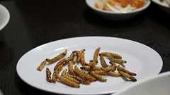 虫を食べてきたよ!【虫注意】 - 2つ目のぺーじ(仮)