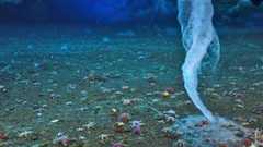 海の生物たちを一瞬にして凍らせる、脅威の水中自然現象「Brinicle」(南極) | カラパイア