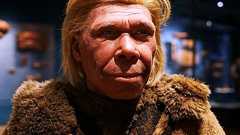 トランプ氏「人類はホモ・サピエンスだけ」 人類の多様性を否定