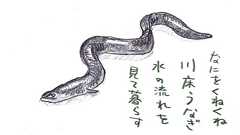 ウナギを食べたい人たちの言い訳