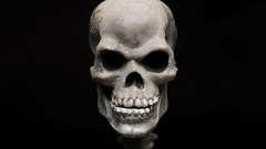 絶対に死ぬって怖くね? : 哲学ニュースnwk