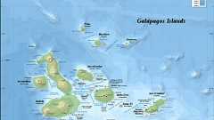 いわゆるガラパゴス化という言葉の起源