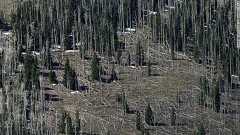 「温暖化対策のため原発推進を」 著名科学者が連名で訴え