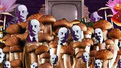 「レーニンは死ぬ前にキノコになった」というデマはなぜ本当に多くの人に信じられたのか?