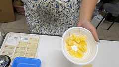 251103 きみはキャッサバを食べたことがあるか - 藤原農園