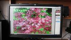 【モニター】HP 『ZR2740w』 レビューチェック