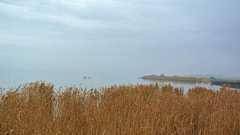 「未来の党」の自滅 問われるべき脱原発政党の中身 - 農と島のありんくりん