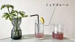 ジンジャーエールがあるならば、ミョウガエールやネギエールがあってもいいじゃないか