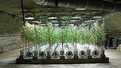 マリファナを水耕栽培している地下洞窟施設の写真あれこれ