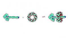 化学の世界は中学生的ギャグに満ちていた、声に出して読みたい化合物いろいろ