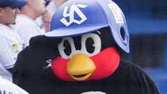 つば九郎、担当者が死去 ヤクルト発表「功績に感謝と敬意」…6日から体調不良で休養