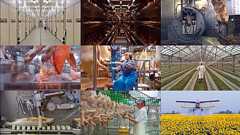 現代社会の食生活を支える実態を淡々と見せる映画「OUR DAILY BREAD」