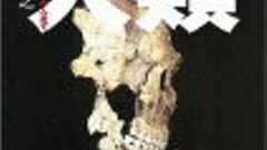 石原都知事が発言釈明「私もネアンデルタールからの帰化人」 - bogusnews