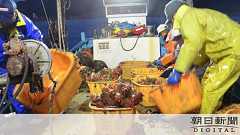 WTO判決「日本産食品は安全」の記載なし 政府と乖離:朝日新聞デジタル