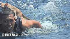 炎上する船から猫4匹を救出 タイ海軍 - BBCニュース