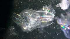 海,山,川と加茂水族館 - cloud9science